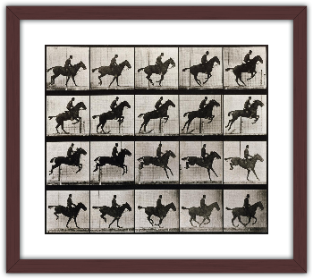 Saut d'obstacle, cheval noir - Eadweard Muybridge